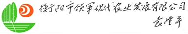 衡阳人才网