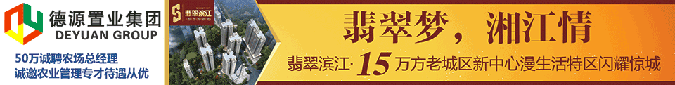 网络招聘会